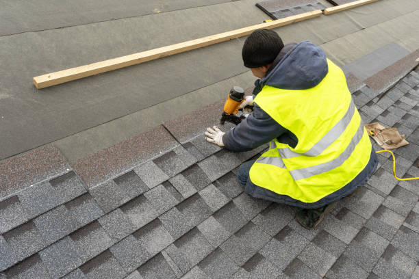 Best Roof Insulation Installation  in Williston, ND